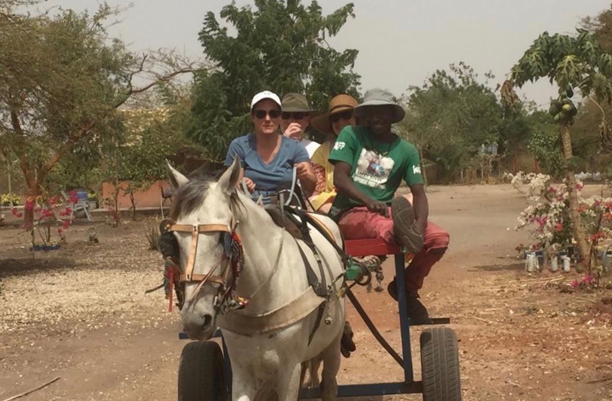 Nicole's sister, Carolyn, driving the horse cart to town.